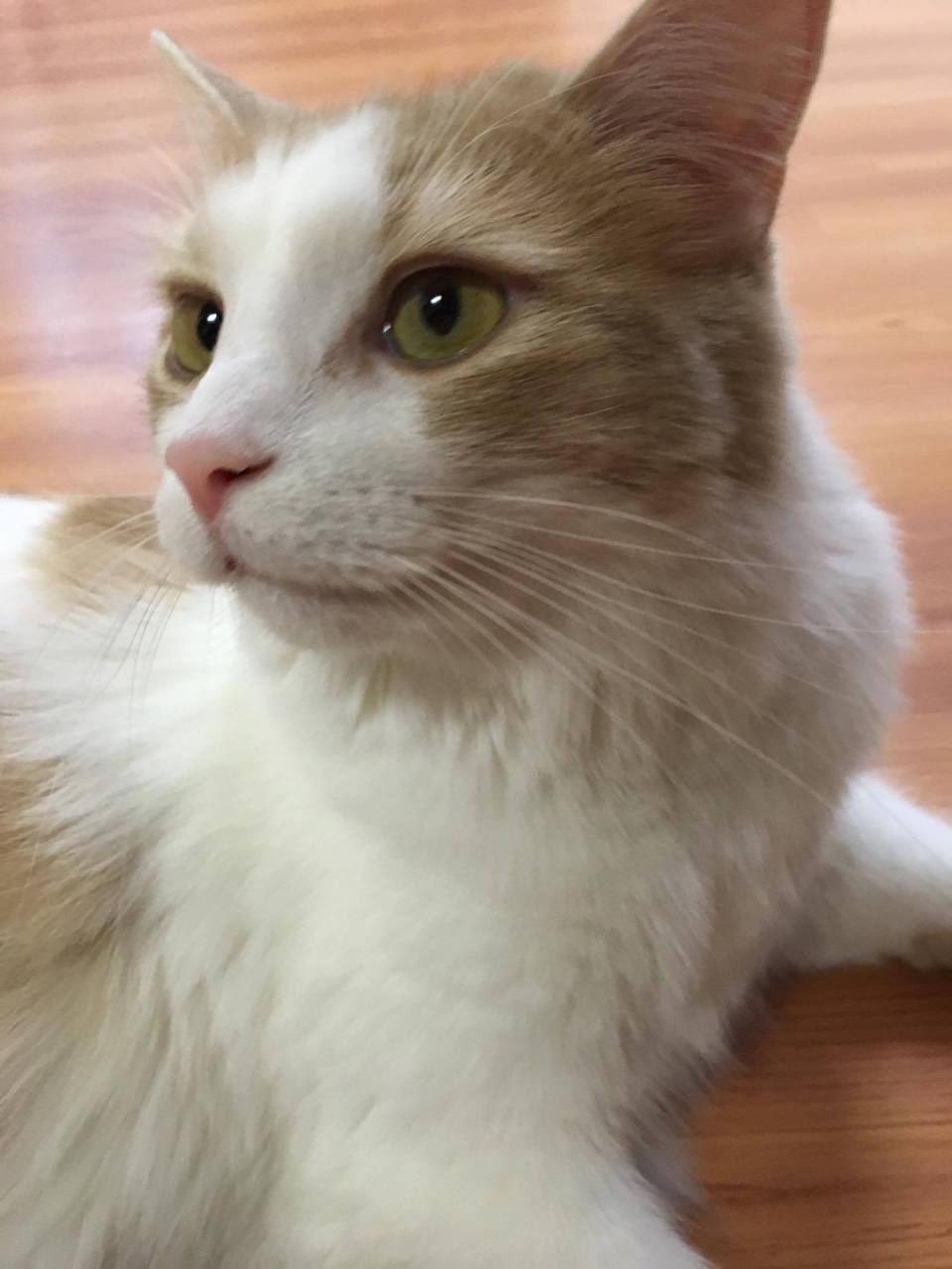 18720711_10212623670324069_431927147_o